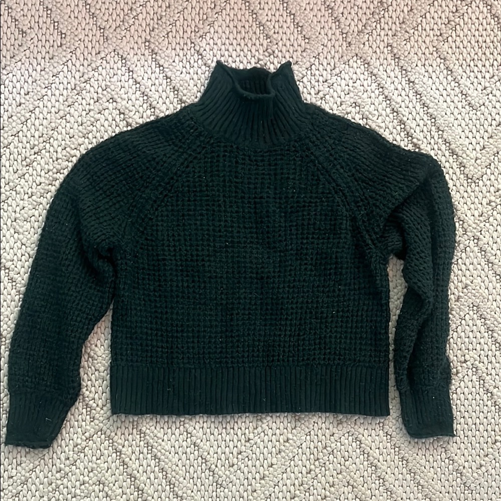American Eagle Outfitters Green Turtleneck Sweater